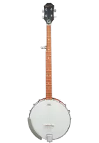 Banjo 5 cordes