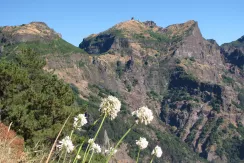 Madeira