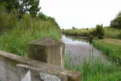 Oléron Island (the marsh at Bris)